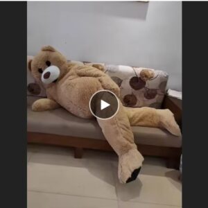 Mascot Dancing Bear Costume Adult Valentine’s Fancy Dress